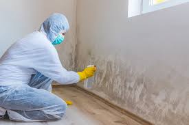 Mold Odor Removal Services in Salunga, PA