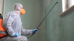 Best Emergency Mold Remediation  in Salunga, PA