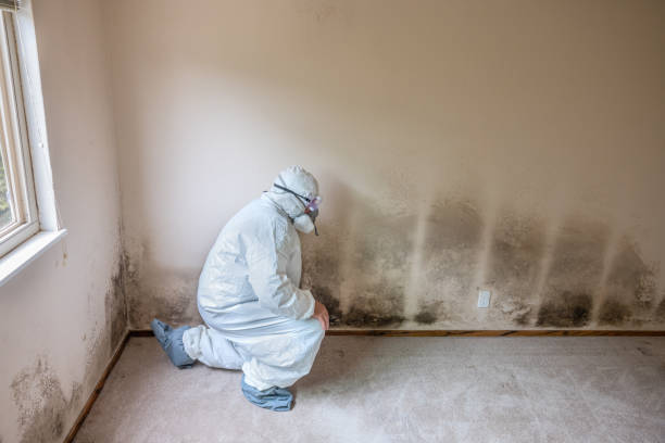 Best Mold Remediation for Healthcare Facilities  in Salunga, PA